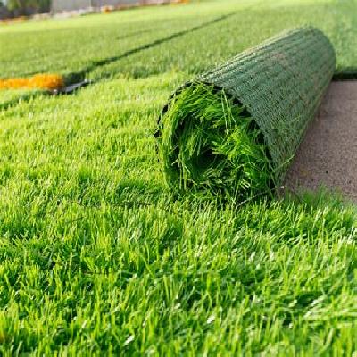 Artificial Grasses