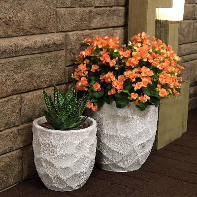 Fiber Flower Pot for Garden