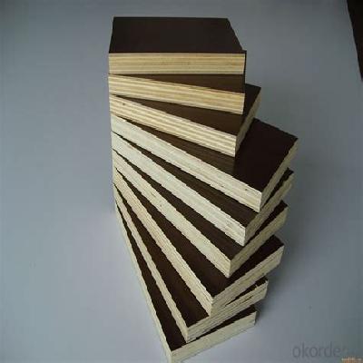 Advance Shuttering Film Face Plywood