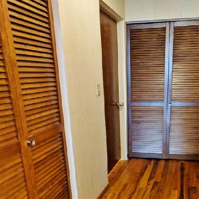 Louvered Doors