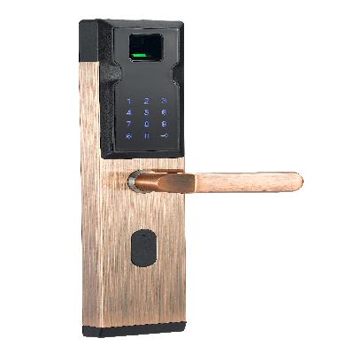Fingerprint Electronic Lock