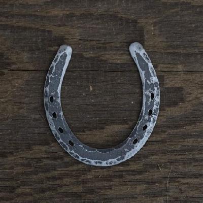 Mild Steel Horseshoe