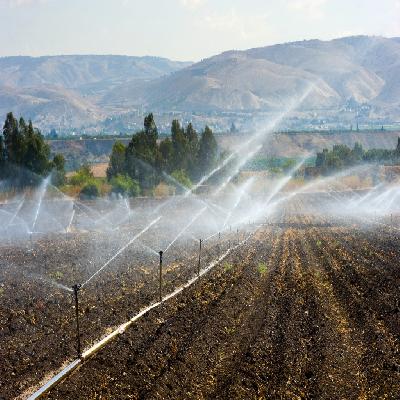 16mm Drip Irrigation Pipe For Garden Lawn Nursery Agriculture Hydroponics-jain Irrigation