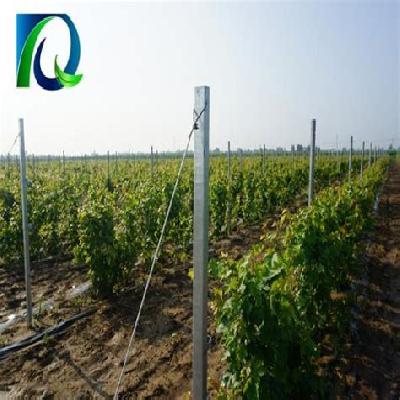 Bekaert Vineyard Trellis Orchard Wire