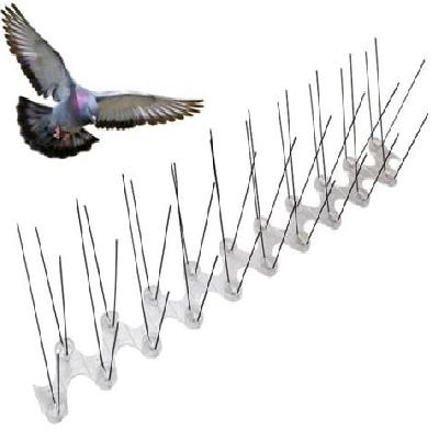 Bird Proofing Spikes