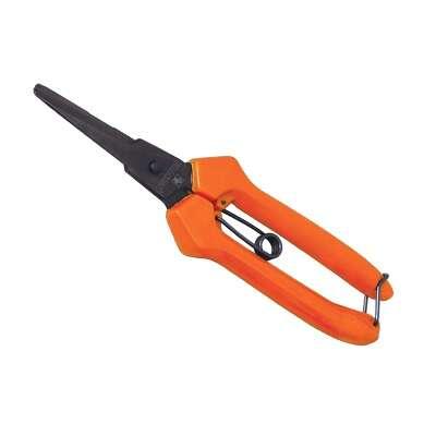 Falcon Ruchi Steel Ruchi Rose Cutter