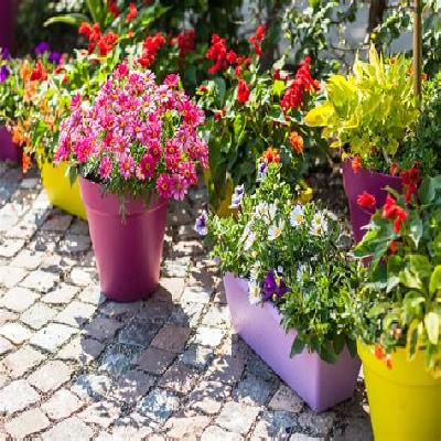 Garden Pot
