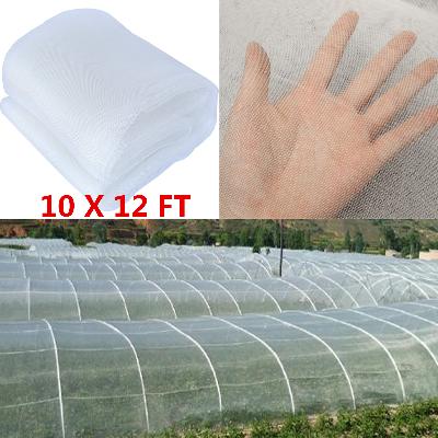 Insect Net