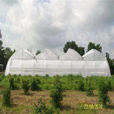 Poly House Construction