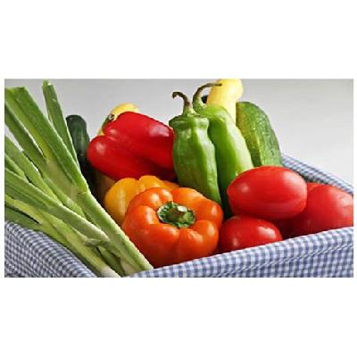 Vegetable Hybrid Seeds