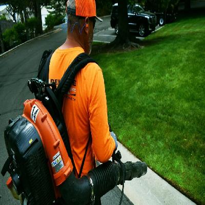 Ground Management Services