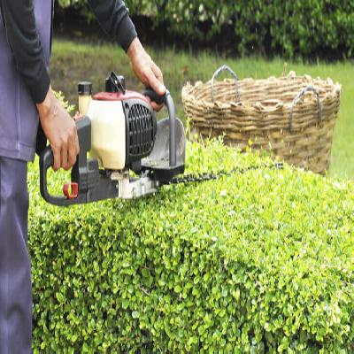 Landscaping And Gardening Services