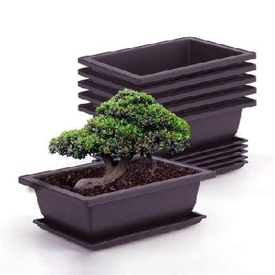 Bonsai Flower Pot Rectangular Shape Coffee Brown Color (21 cm L X 15.5 cm W x 8 cm H)