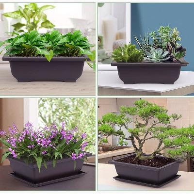 Bonsai Flower Pot Rectangular Shape Coffee Brown Color (28 cm L X 20 cm W x 9.7 cm H)