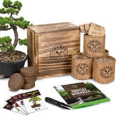 Bonsai tool kit set of 4 - Minerva Naturals
