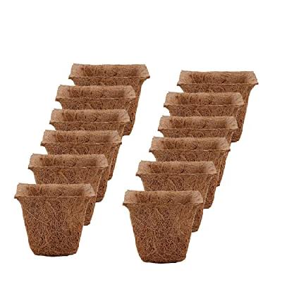 coir pot 5.5 inch - Minerva Naturals