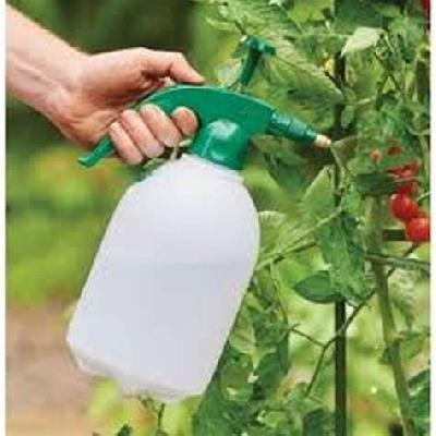 Garden Sprayer 2 Litre Classic