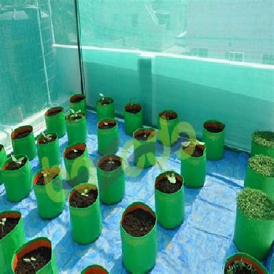 HDPE Poly Grow Bag For Terrace Garden ( 12''x12''x9'')