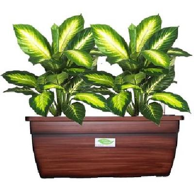 Minerva Naturals Self Watering Rectangular Planter