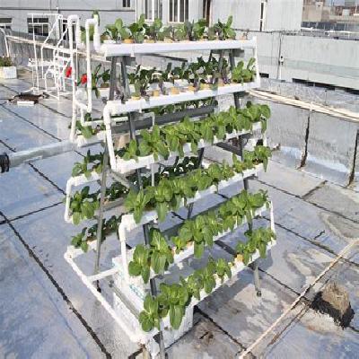 Plastic Hydroponic 