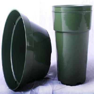 Plastic Nursery Pot 6 inch