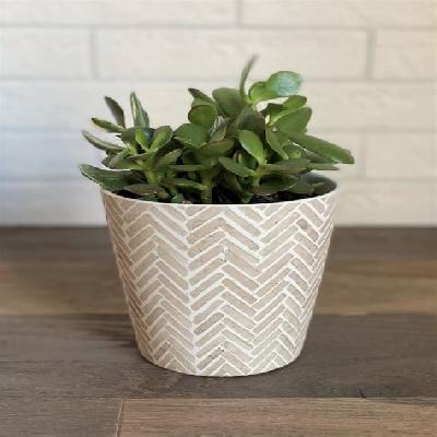 Printed Ceramic Pot 5 X 5 X 4.5
