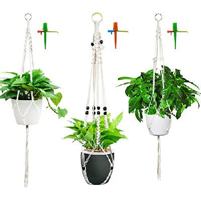 Wall hanger 3 pot holder with suitable pots - Minerva naturals