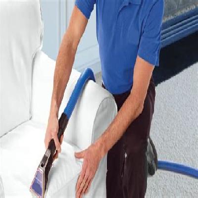 Sofa And Chair Shampooing Cleaning - Maintenance Work
