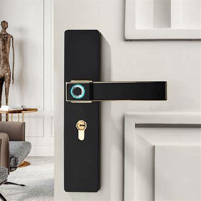 Electric Door Lock