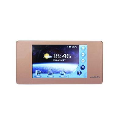 DM838 Intelligent Mini Host
