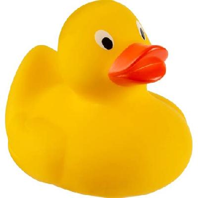 PVC Duck