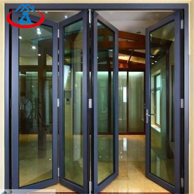Wide Folding Door