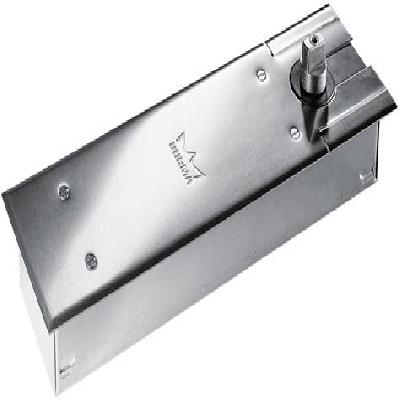Dorma BTS 80 Glass Door Floor Spring