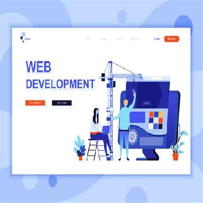Website Design and Development
