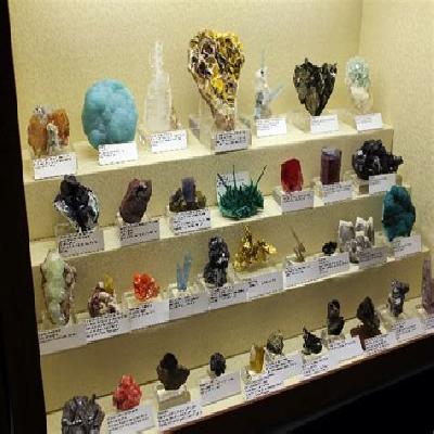 Geological Showcases Rocks and Minerals Collections