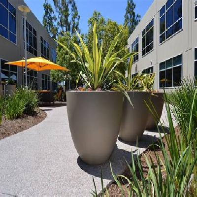 Plantation Pot