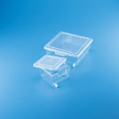 Staining Box