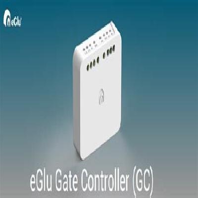 eGlu Gate Controller