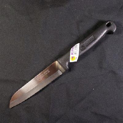 Plastic Handle Kitchen Knife