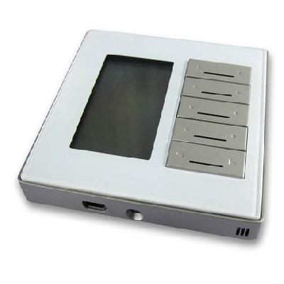 Dynamic Display Panel