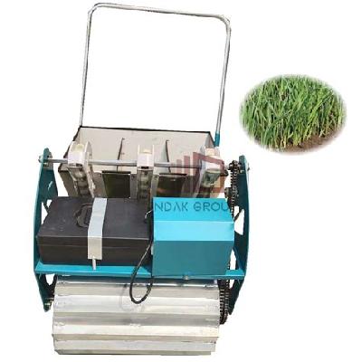 Bengal Growing Machine 3