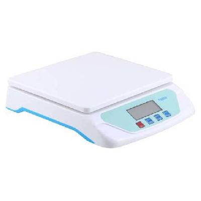 ELECTRONIC COMPACT SCALE (TS 500)