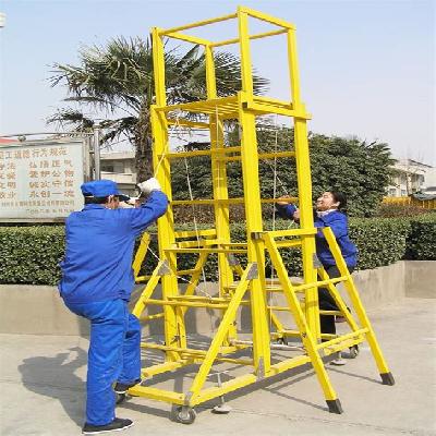 FRP Tower Ladder