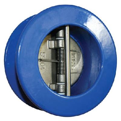 Dual Plate Check Valve