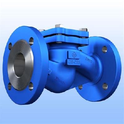 Lift Check Valve