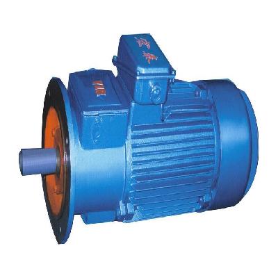Industrial Torque Motor
