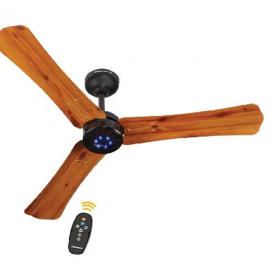 RR BLDC Ceiling Fan