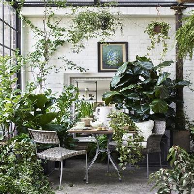 Plant Rooms