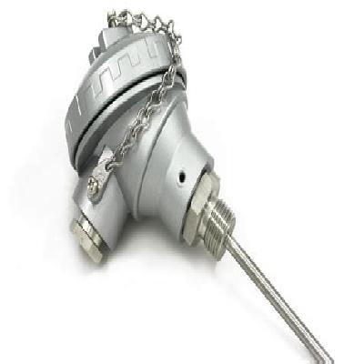 Resistance Temperature Detector (RTD)